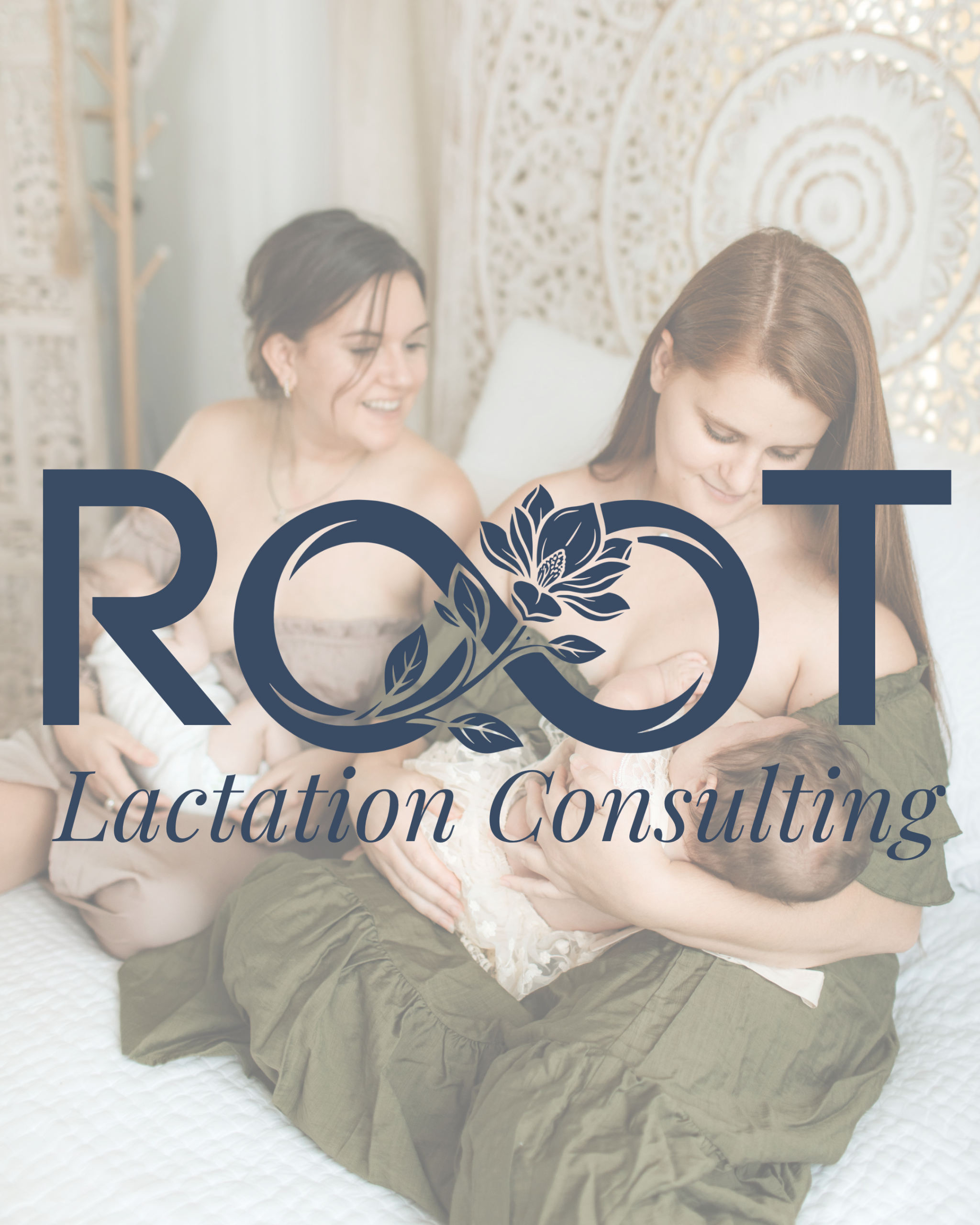 1 IBCLC lactation services and breastfeeding support